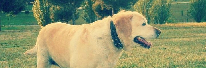 Estheyy's profile banner image