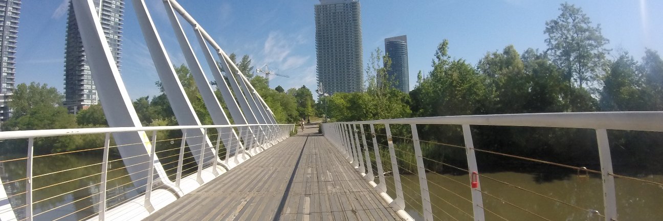 Andrew MacDonald banner