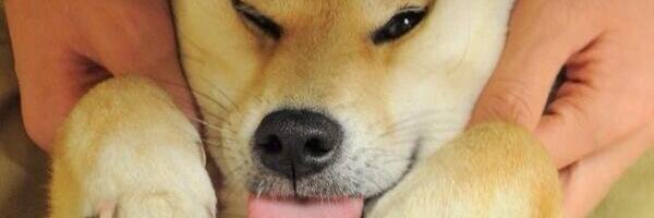 Marshmillew's profile banner image