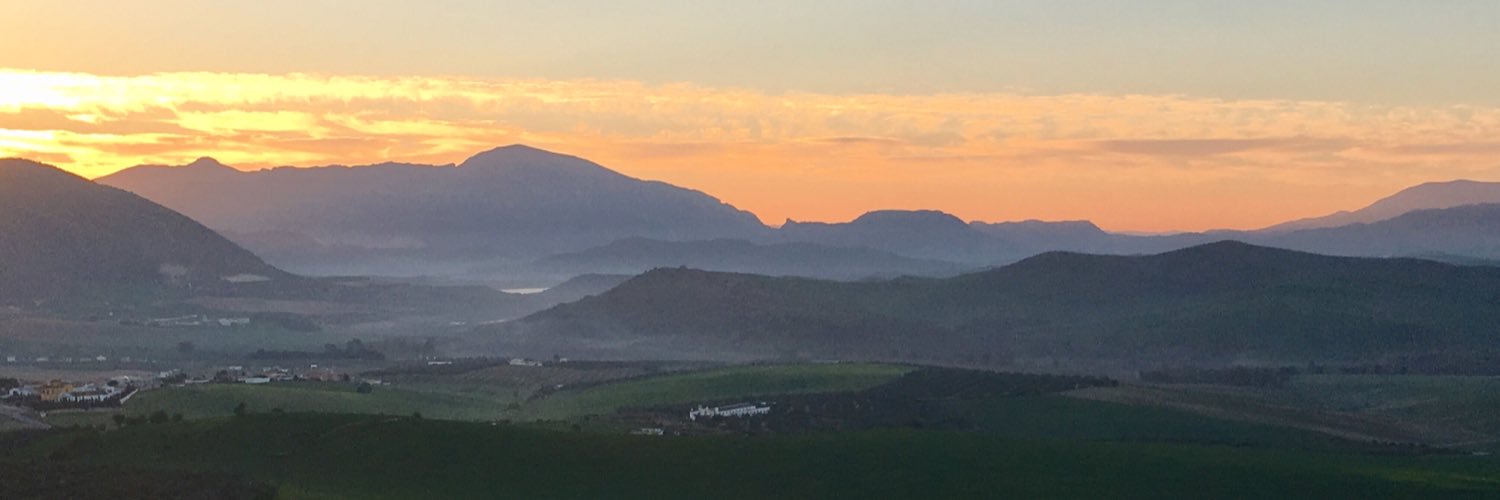 SharonTBrook's profile banner image