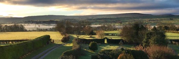 LynnCraken Profile Banner