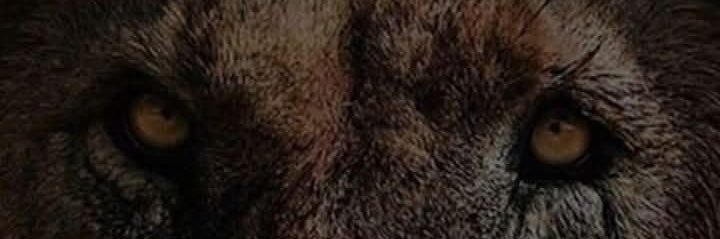 danielconcecr's profile banner image