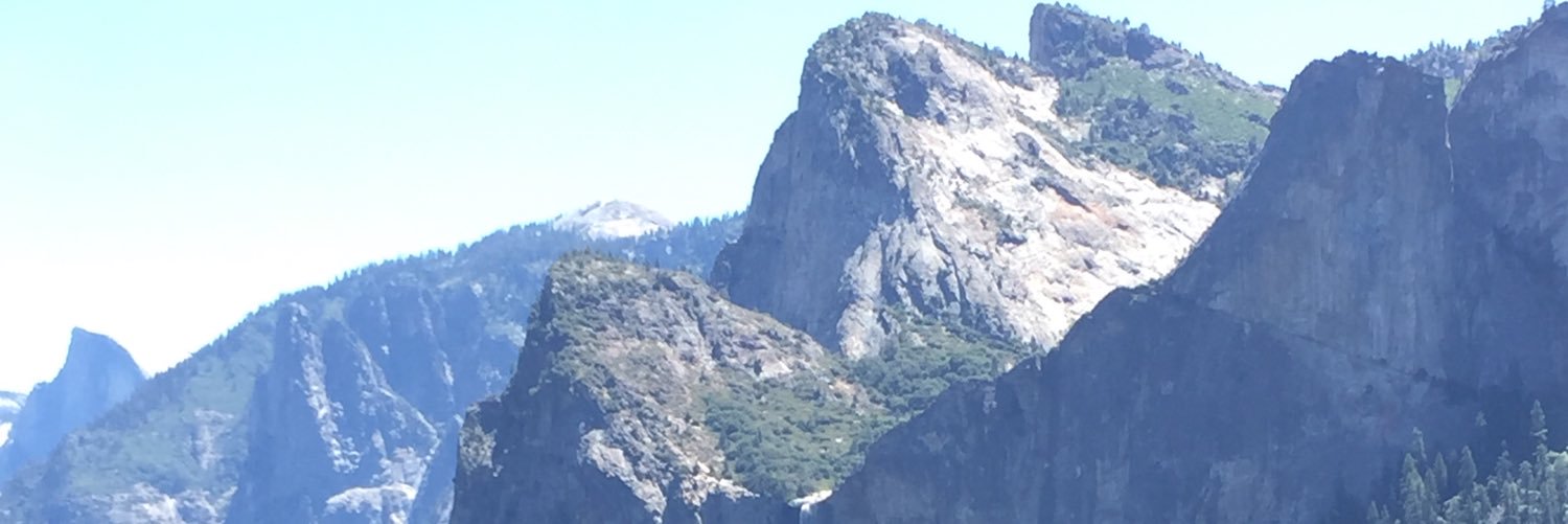 thecarrotguy98's profile banner image