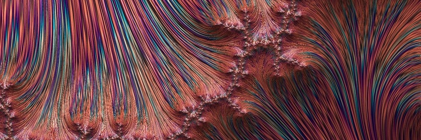 VeraPrimera's profile banner image