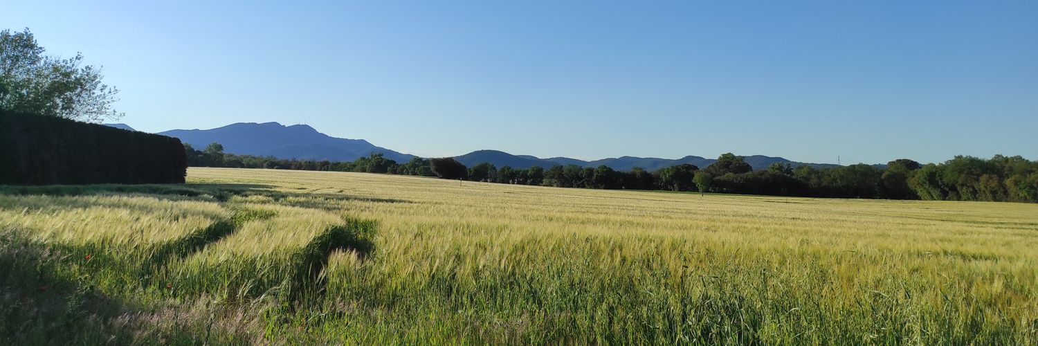 Siso Val·lentí banner