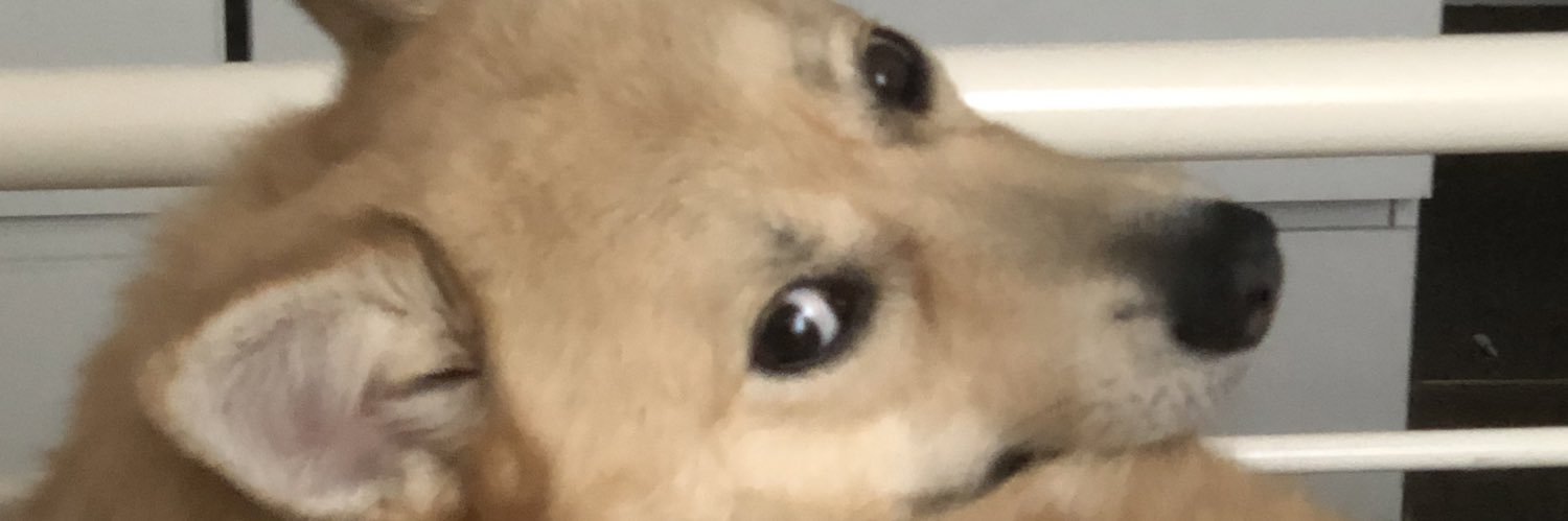 BeckysOnFire's profile banner image