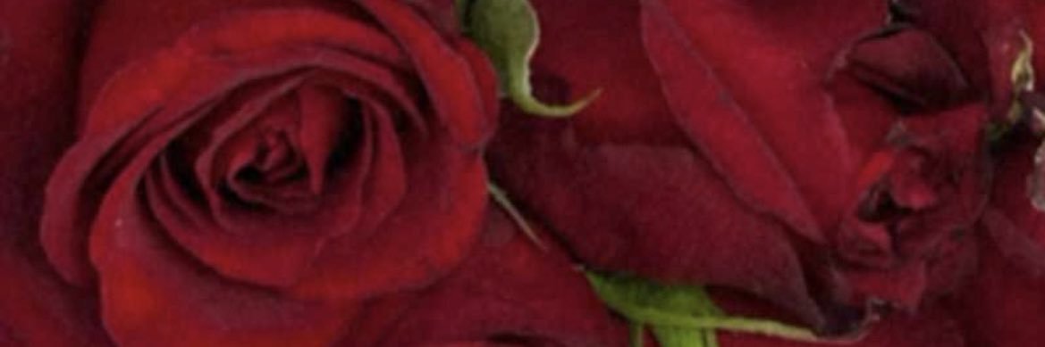 Uminathi11's profile banner image