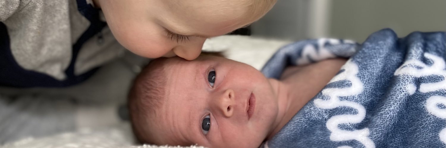 Lauren Corona banner