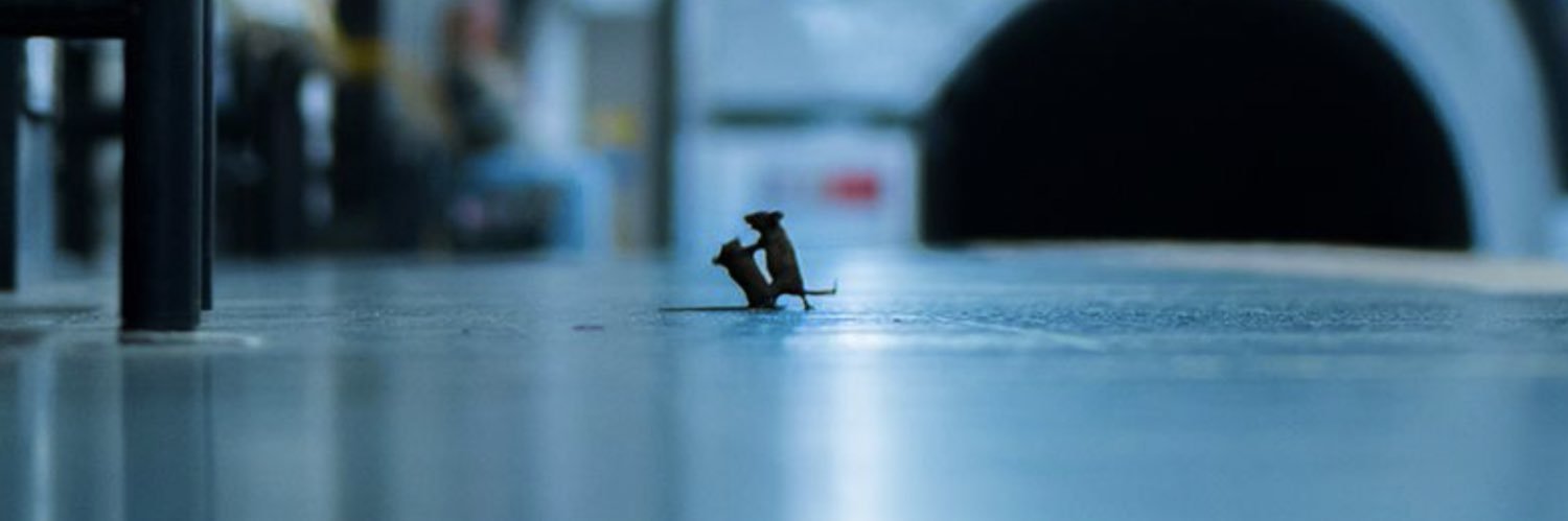 Robert Snyder banner