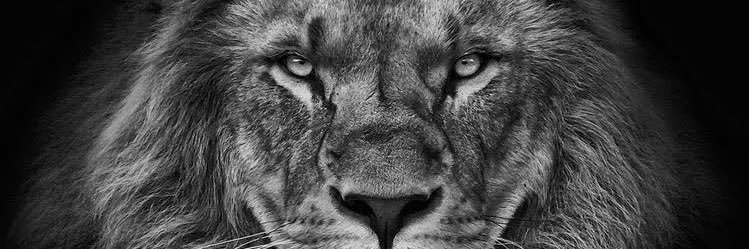 emersonlimand's profile banner image