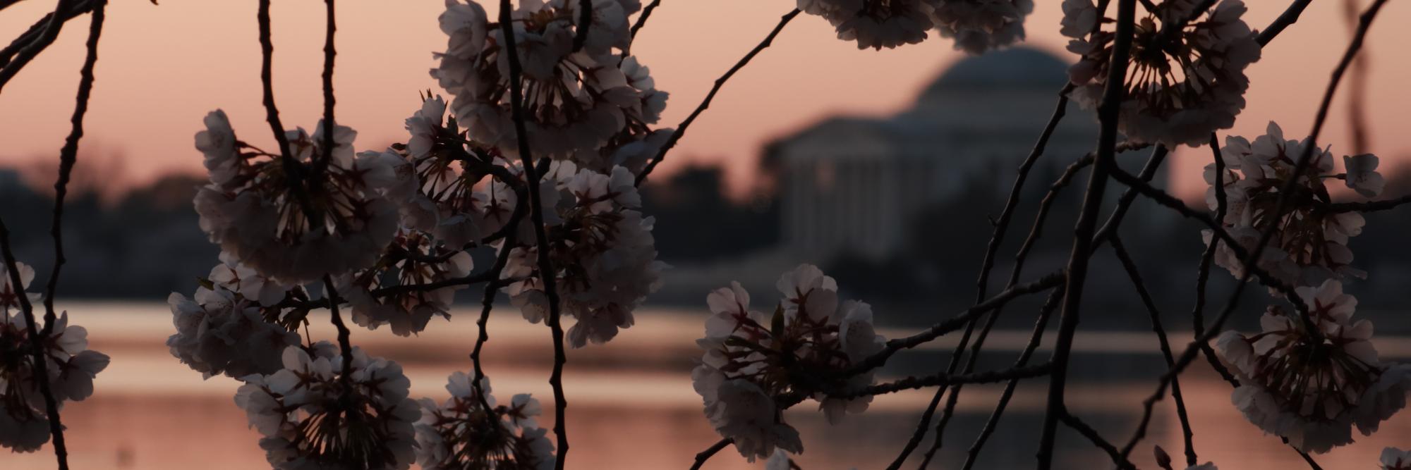 c_conrad8's profile banner image