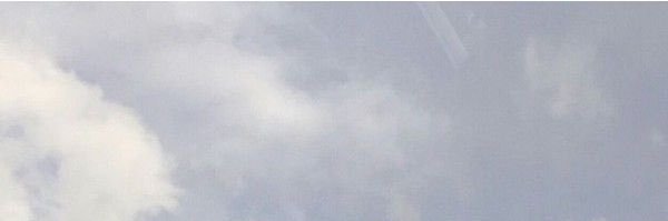 midnightgrae's profile banner image