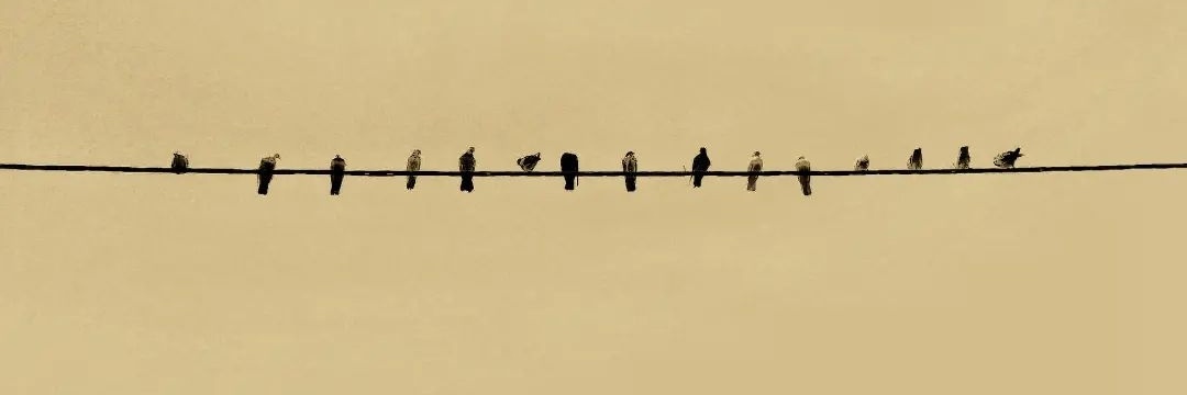 ferimah010's profile banner image