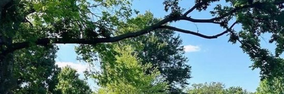 Kimberly Clarkson banner