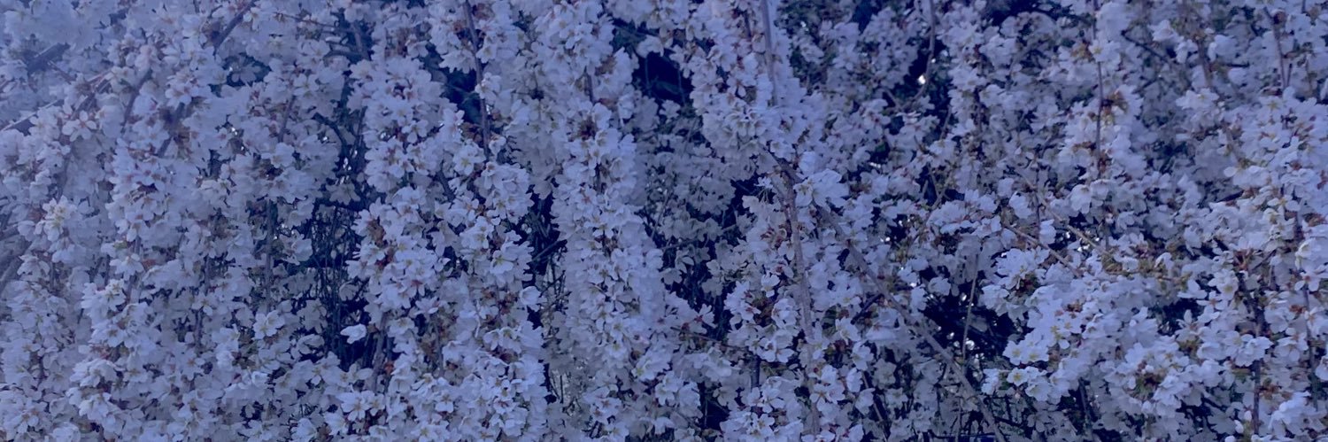 beccaeugene25's profile banner image