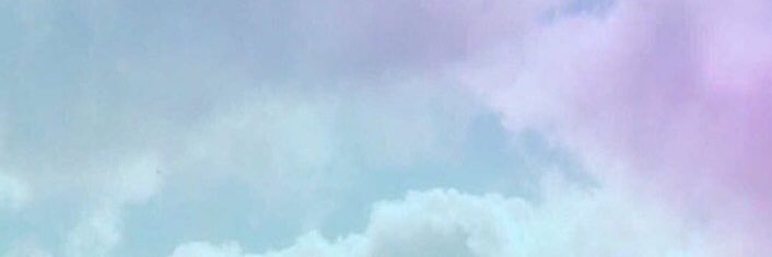 whale__wolf's profile banner image