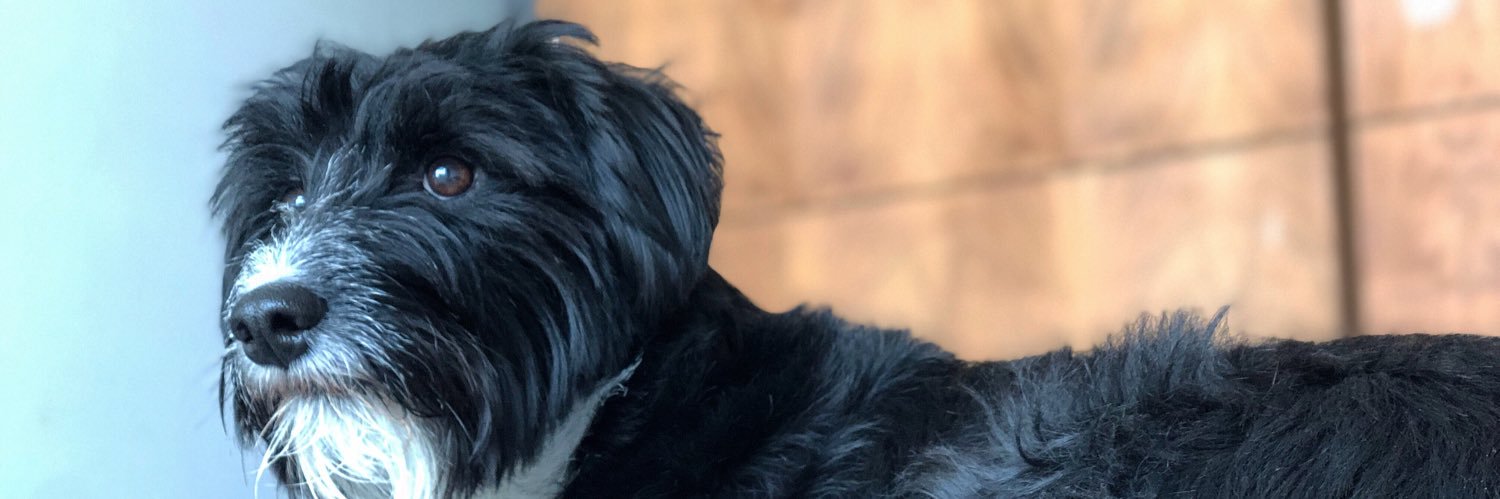 PacoOcampo's profile banner image
