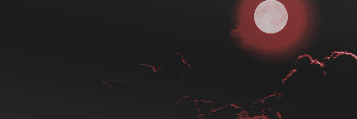 Nikifar 🌸 banner