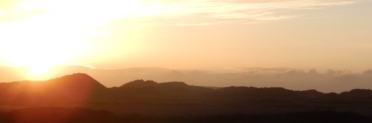 TomPepsii1's profile banner image