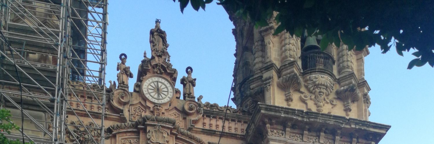 osmaraflo's profile banner image