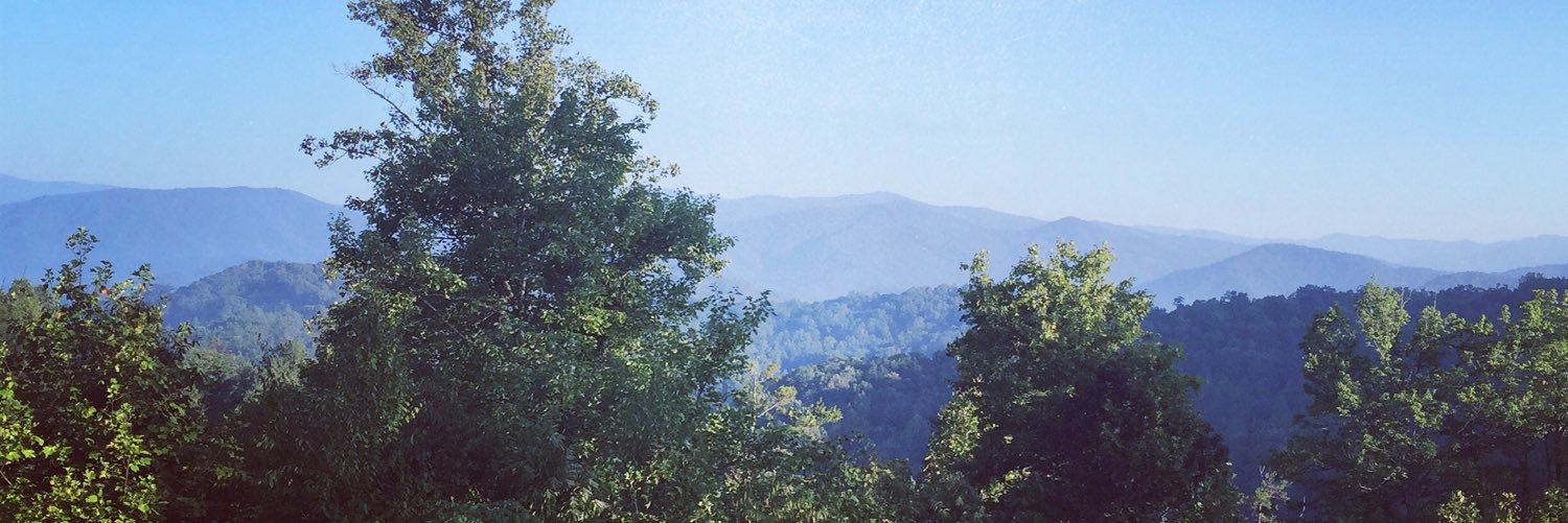 ReneeDePue's profile banner image
