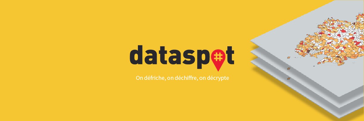 dataspot banner
