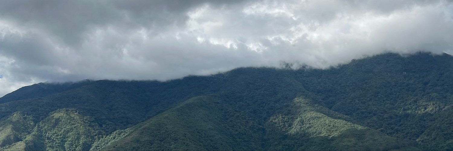 BrianRengifo's profile banner image