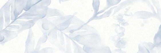 Ansulet Scheepers banner