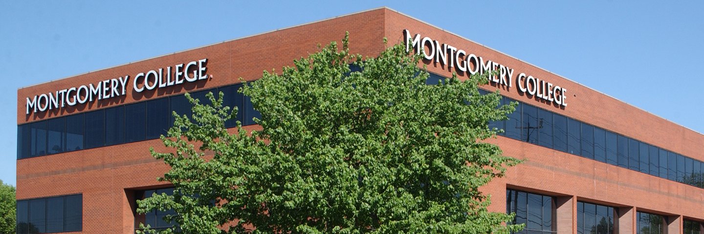 Shinta H. Hernandez, Ph.D. banner