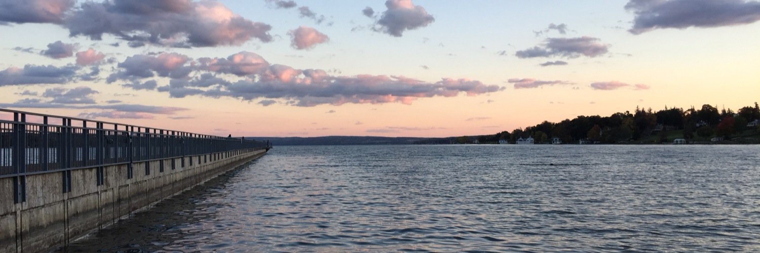 Natasha Ginzburg banner