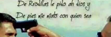 Emilio tucci banner