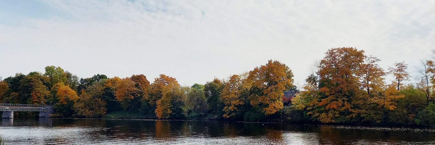 Valdis Vītoliņš 🐧 banner