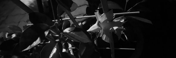 szda Profile Banner