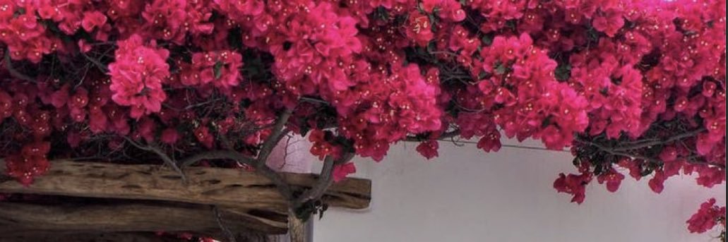 NURA_SL's profile banner image