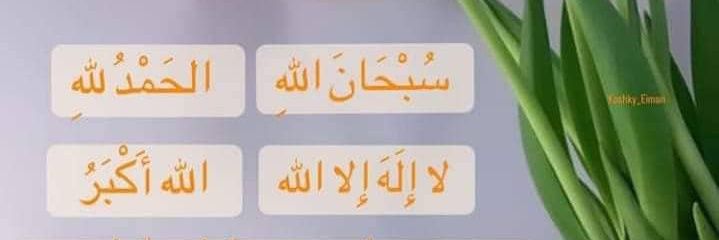 saqi139's profile banner image