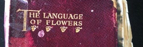 paurangel's profile banner image