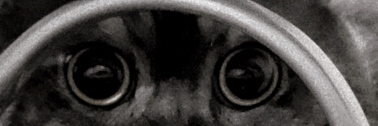 As_Algh's profile banner image