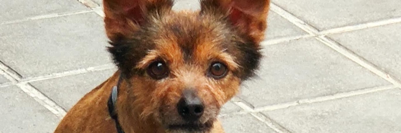 KYKO_MASCARELL's profile banner image