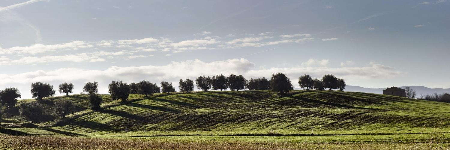 Pier Vittorio Buffa banner