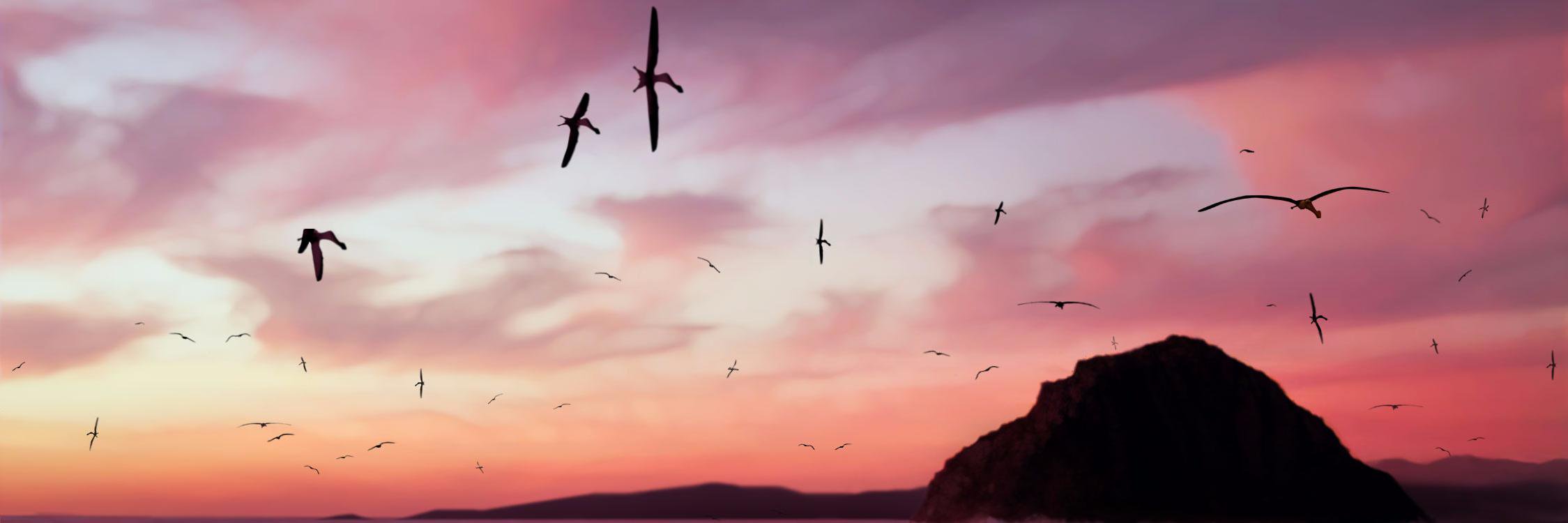 flyingreptiles's profile banner image