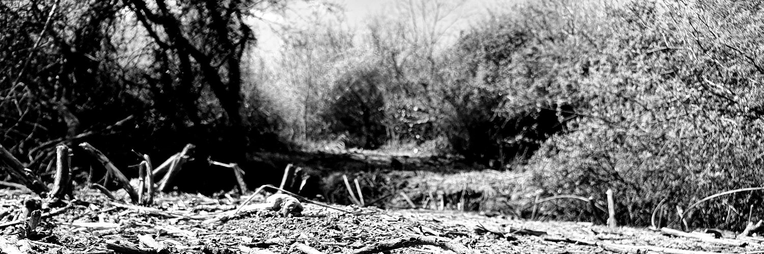 329seven's profile banner image