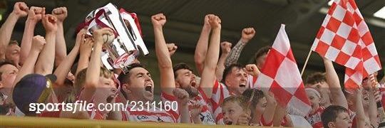 Peter O'Toole banner