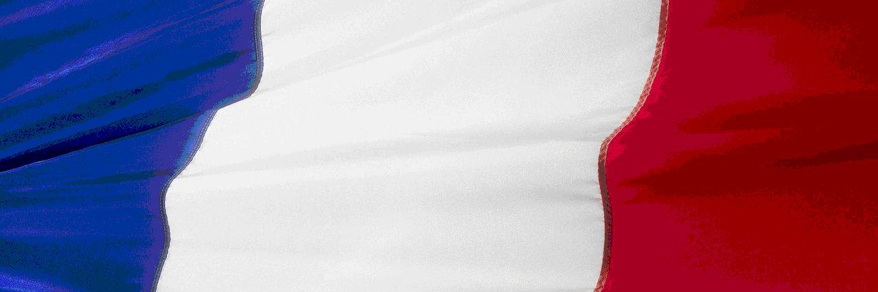 primevere55's profile banner image
