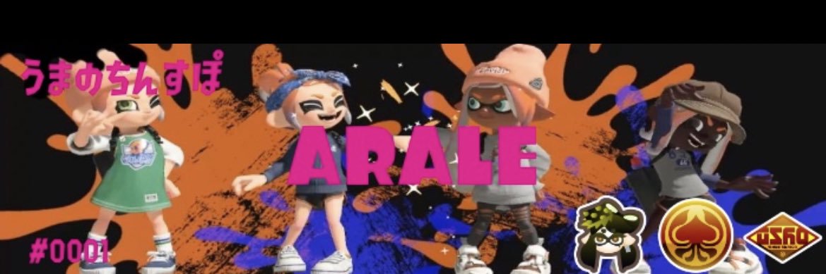 ARALE_SSBU's profile banner image