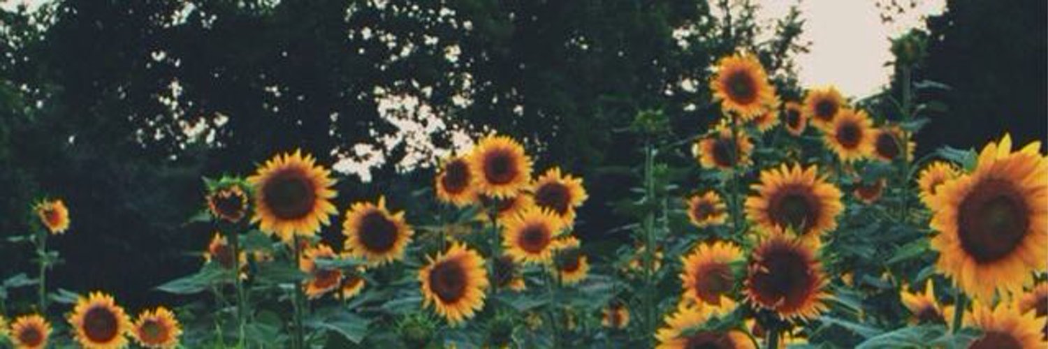 Barefootjacob's profile banner image