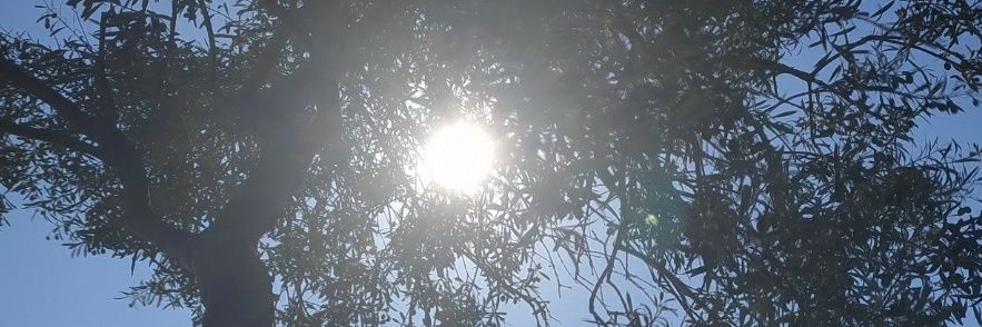 g34gg's profile banner image
