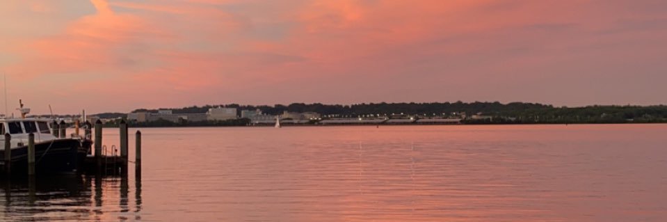 SRagno1's profile banner image