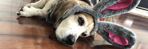 ritGenBio Profile Banner