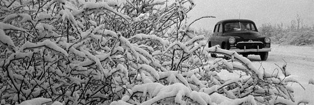 Vincenzo Giardina banner