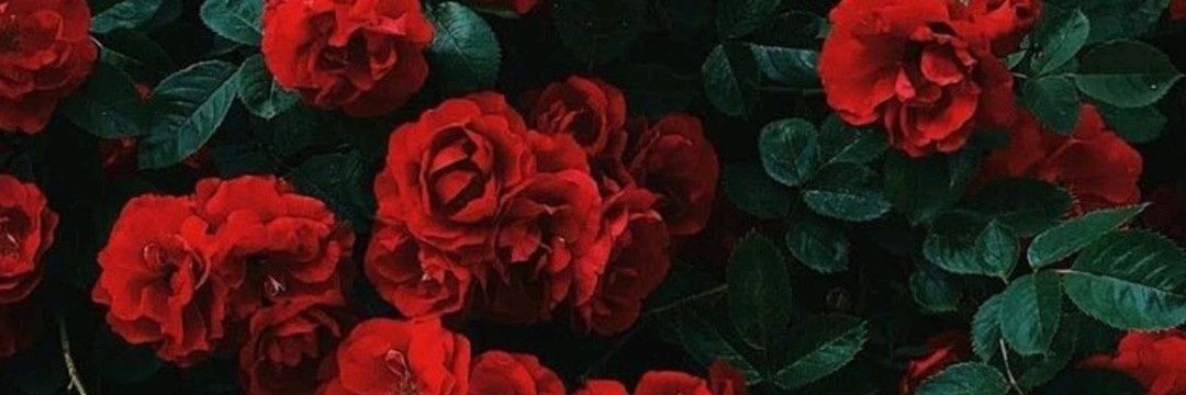 Alelisx's profile banner image